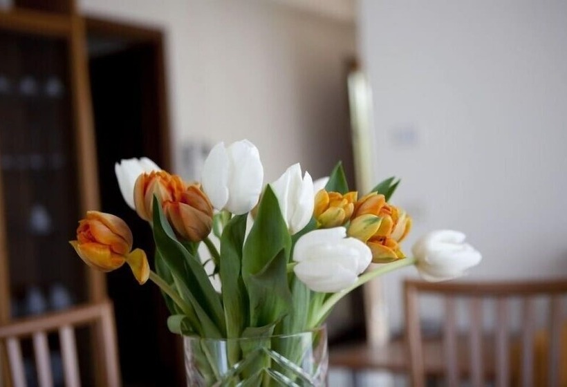 Отель Health House