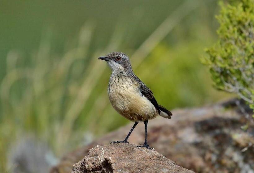 Tenahead Lodge & Spa