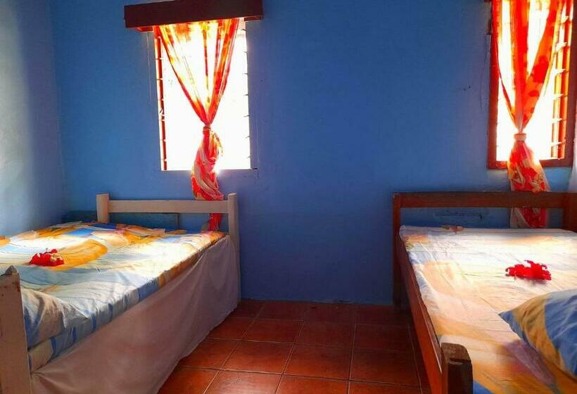 הוסטל Mana Lagoon Backpackers