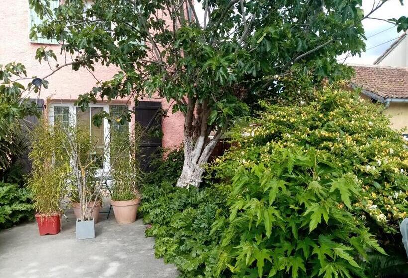 Bed and Breakfast Les Toiles Du Figuier