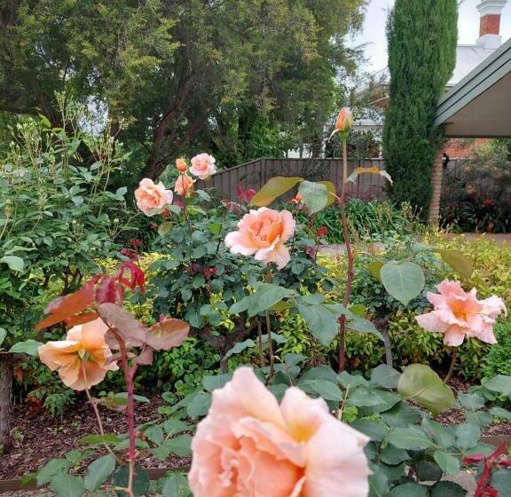 住宿加早餐  Nixon House