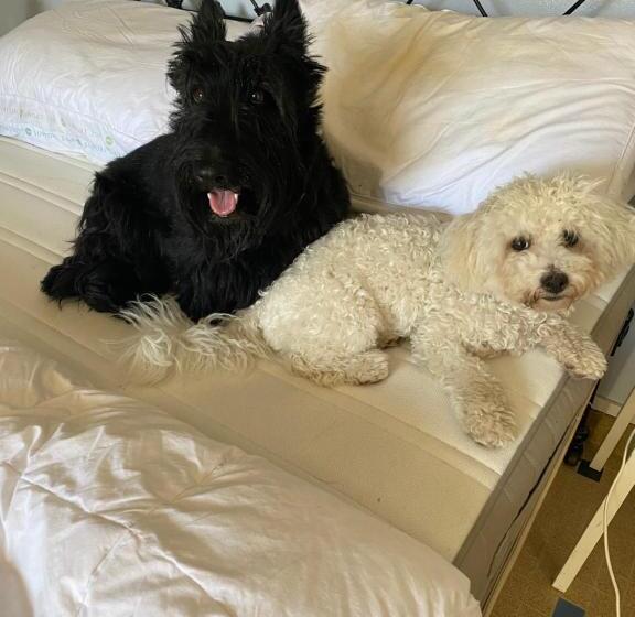 Bed and Breakfast The Wild Geese