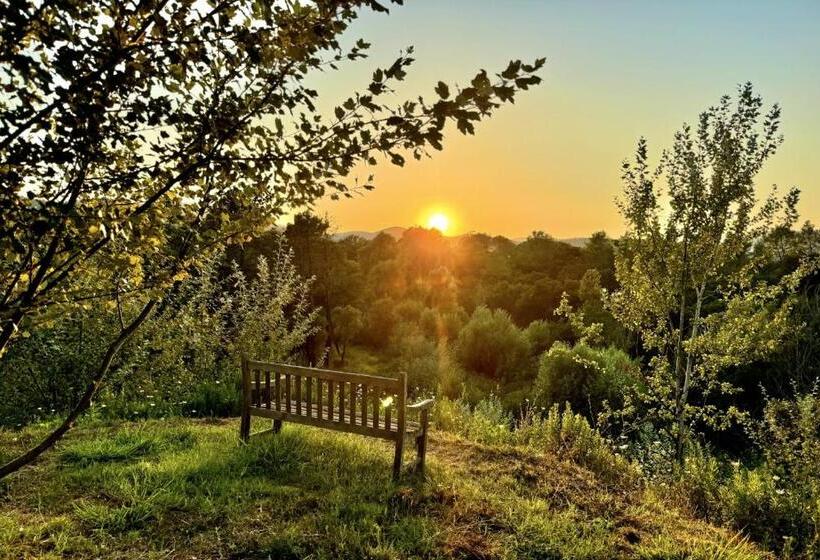 Bed and Breakfast Villa La Source 83   Room Close To St Tropez