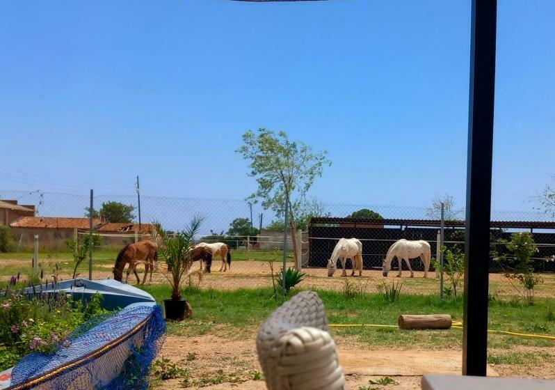 호텔 Finca Caballito De Mar