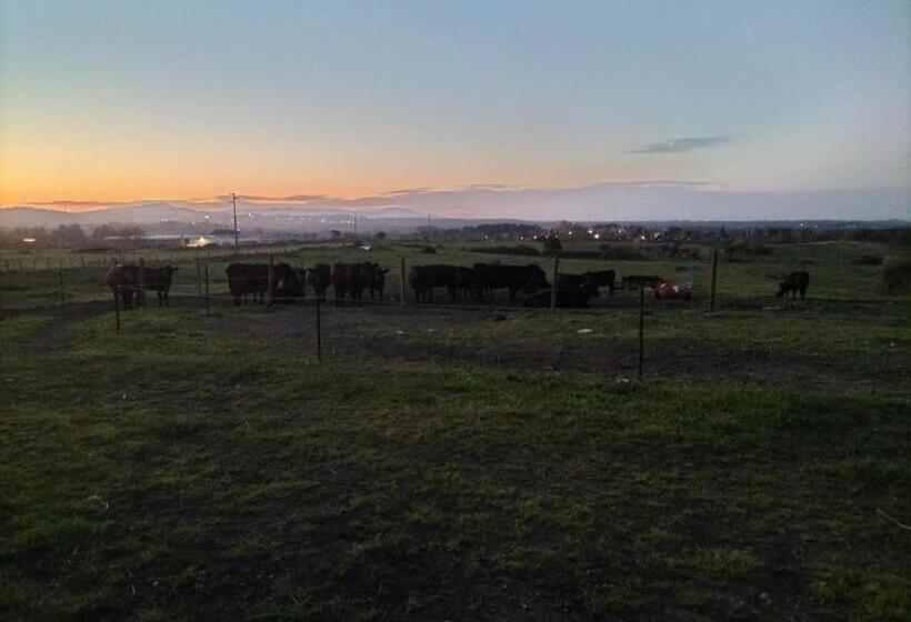 Отель Rod Ranch Livestock  Stanza Matrimoniale