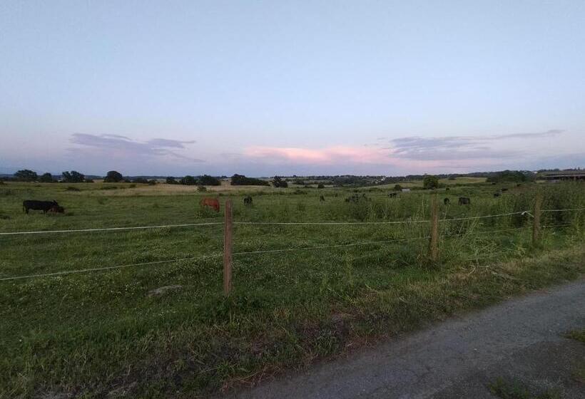 Отель Rod Ranch Livestock  Stanza Matrimoniale