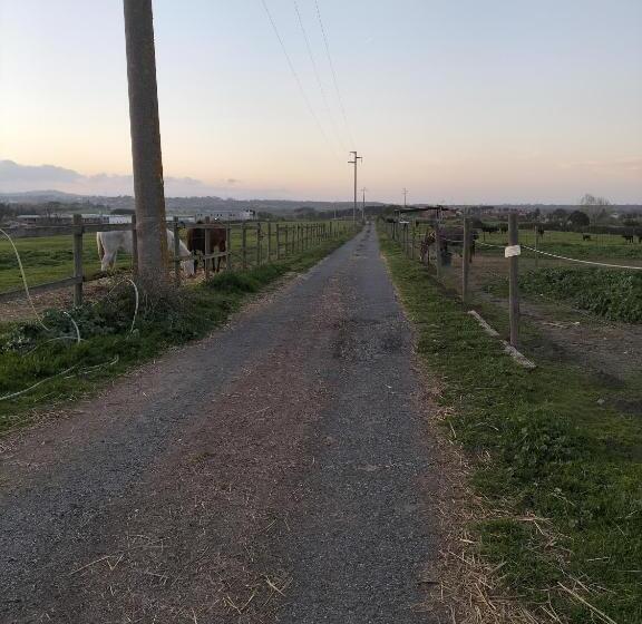 Отель Rod Ranch Livestock  Stanza Matrimoniale