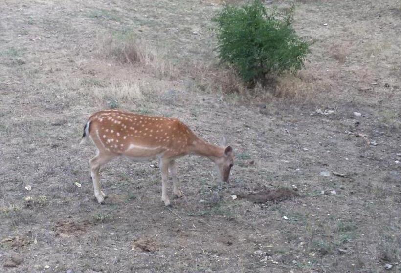 ペンション стаи за гости La Place студен кладенец