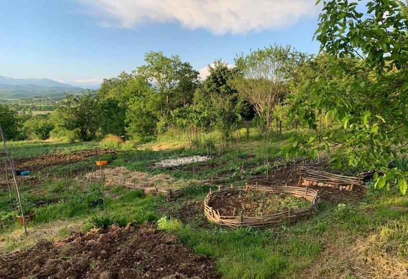 پانسیون Eco Family Guest House