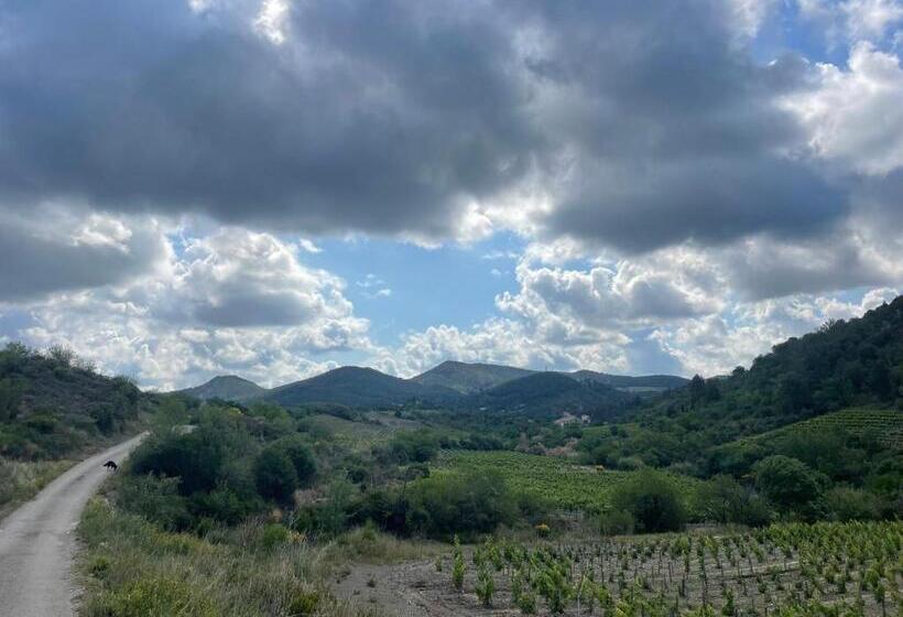 膳宿费 Esclarmonde 18