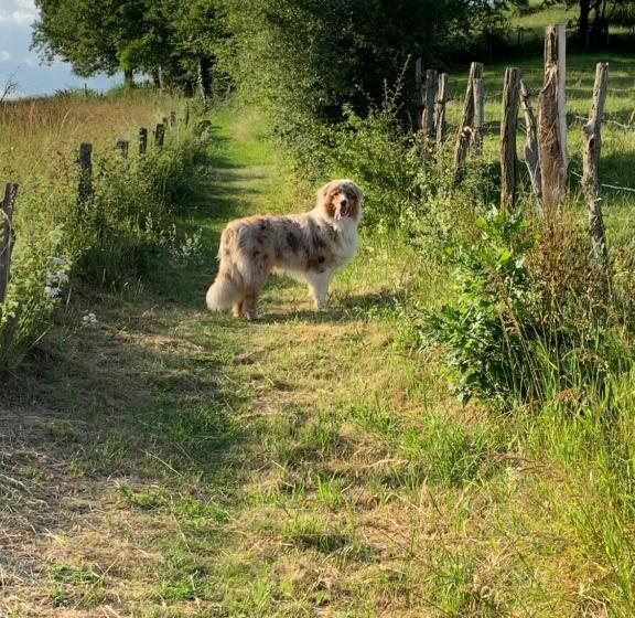 بنسيون Les Jardins De Caribole