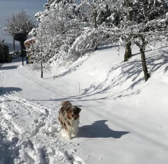 بنسيون Les Jardins De Caribole