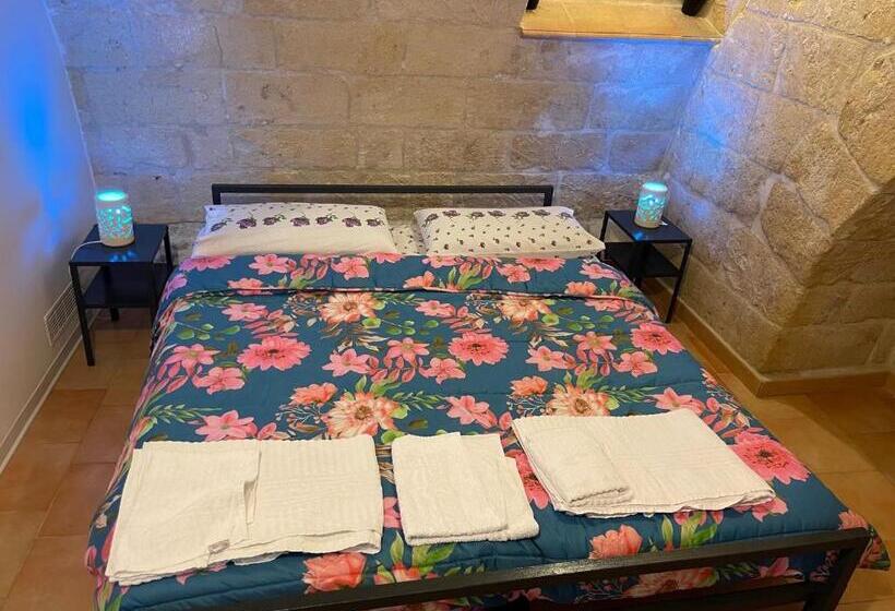 膳宿费 Sassi Low Cost