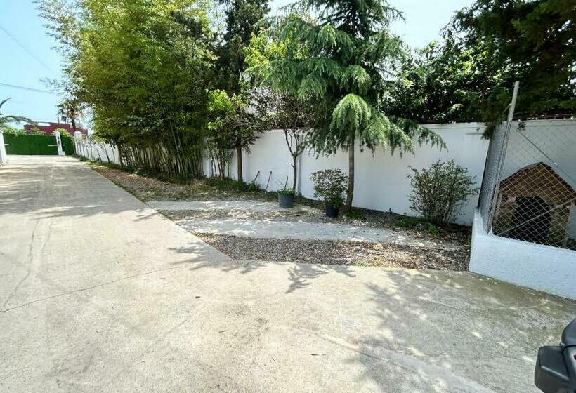 Pensionat White Villas In Batumi