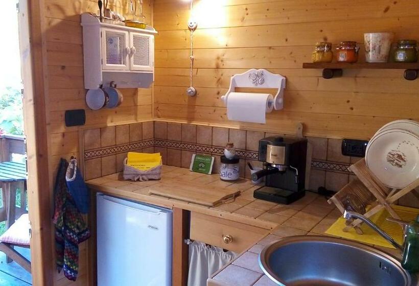 Phoenix B&b