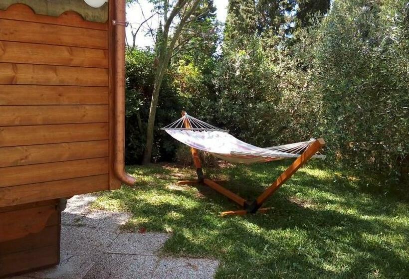 Phoenix B&b