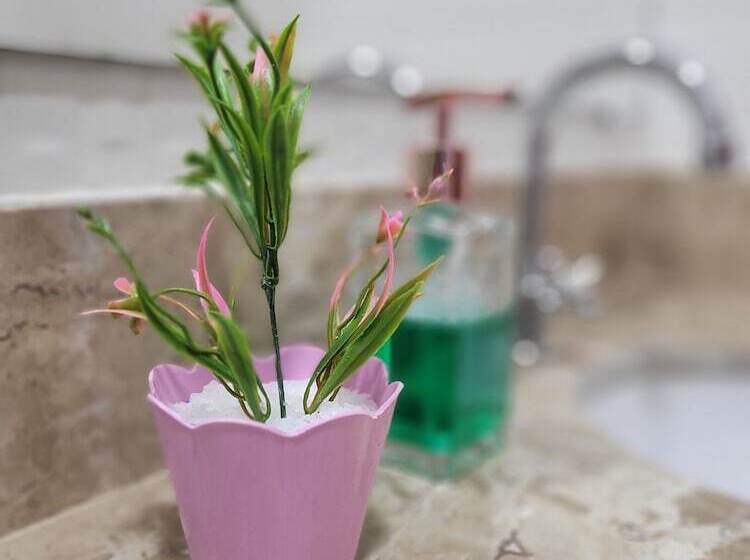 Praieira Hostel&pousada