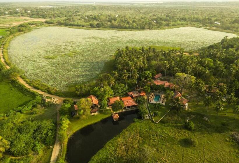 Курорт Malala Retreat