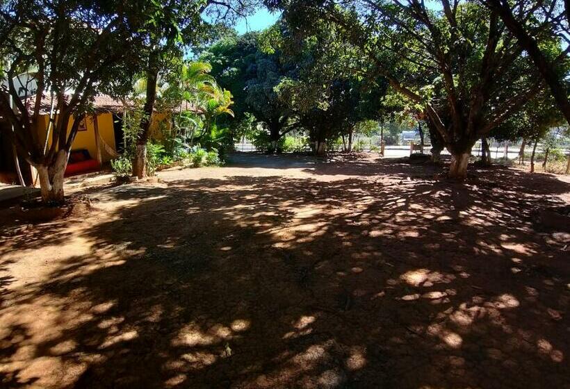 Hostel Pousada Das Mangueiras Brilho Da Noite