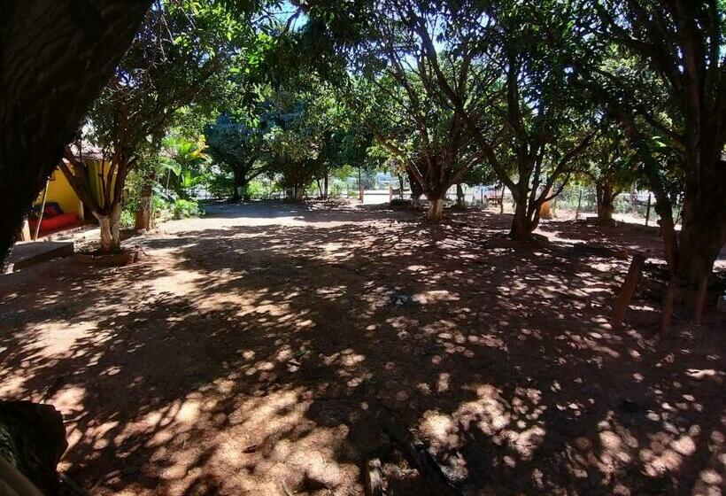 Hostel Pousada Das Mangueiras Brilho Da Noite