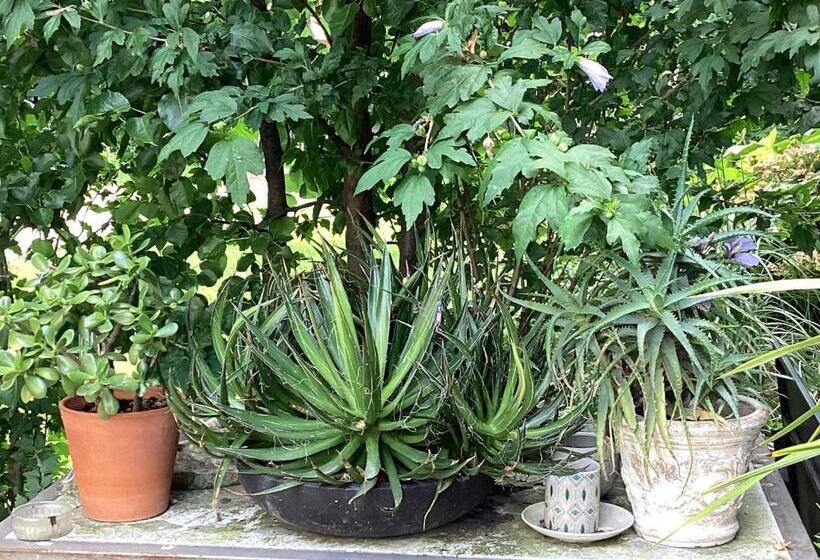 تختخواب و صبحانه Il Villino Della Duchessa