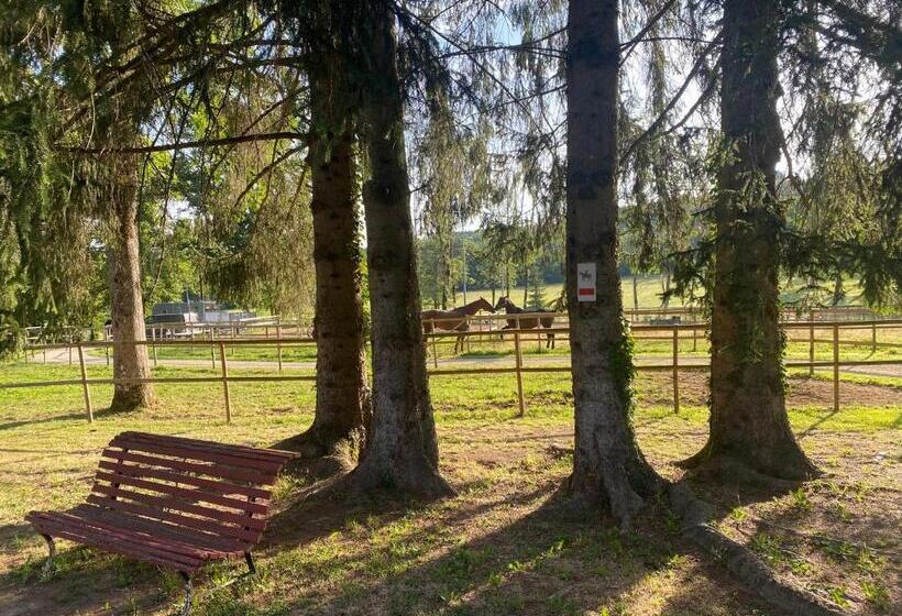 Bed and Breakfast L’orangerie De Malpas