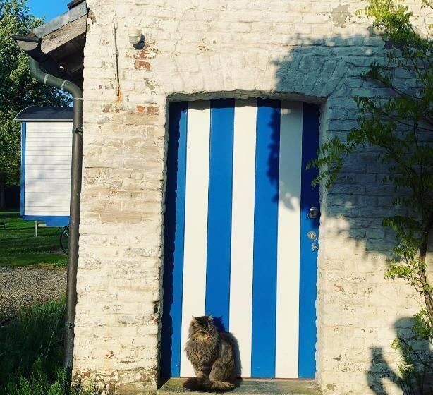 Hamiora Wellness B&b