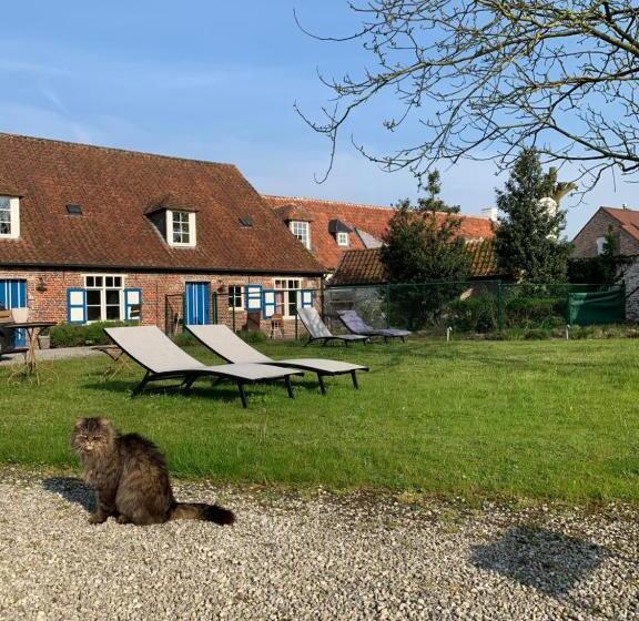 Hamiora Wellness B&b