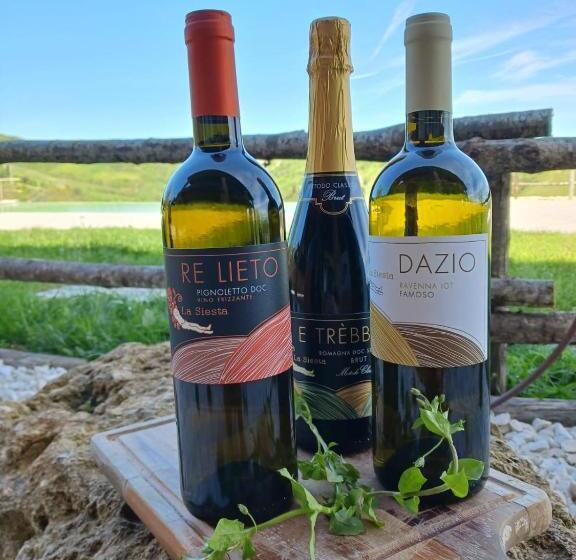 호텔 Agriturismo Camponovo