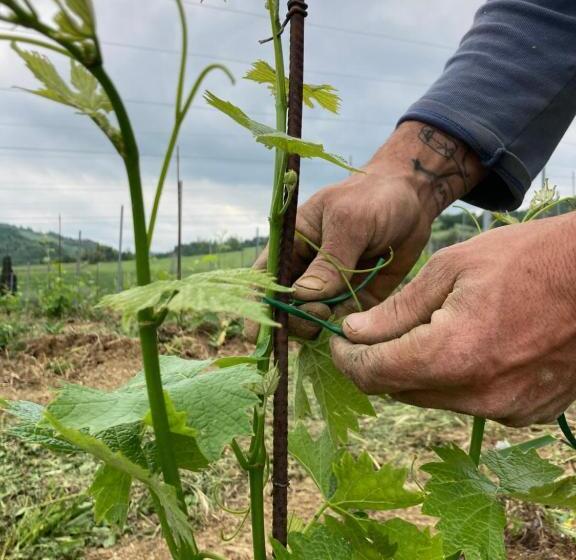 호텔 Agriturismo Camponovo
