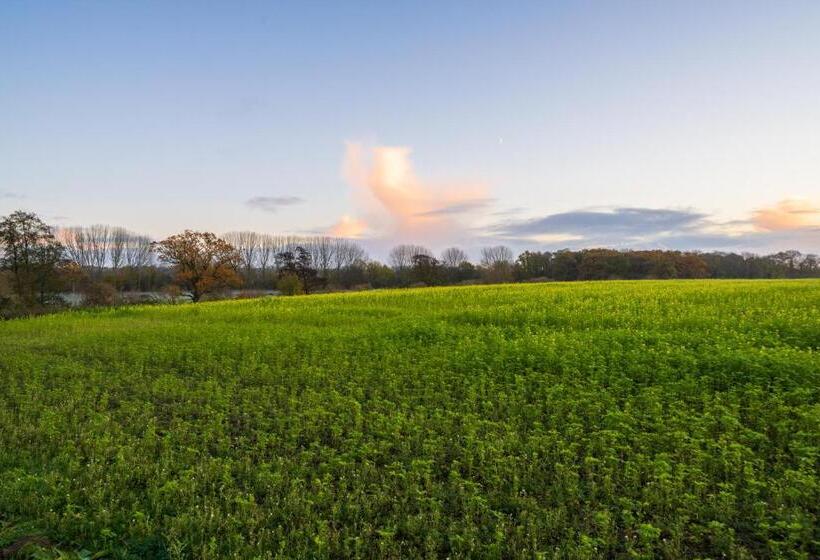 فندق Appletree   A Newly Converted Luxury Barn In Warwickshire On Our Farm