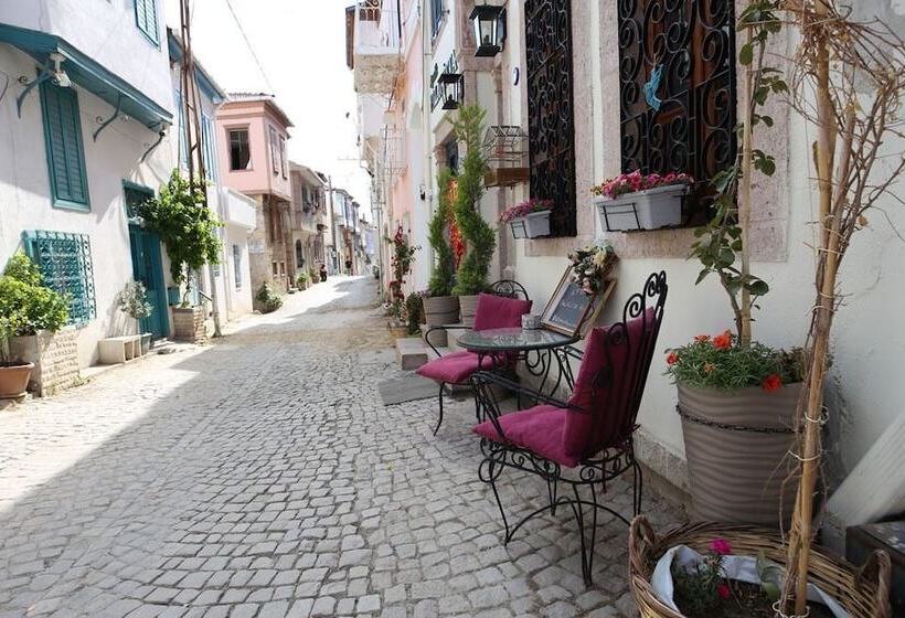 בית מלון כפרי Ayvalık Palacitta Guesthouse