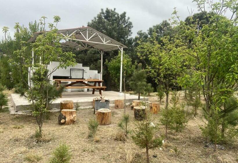 فندق Cabañas Rochivo Ranch