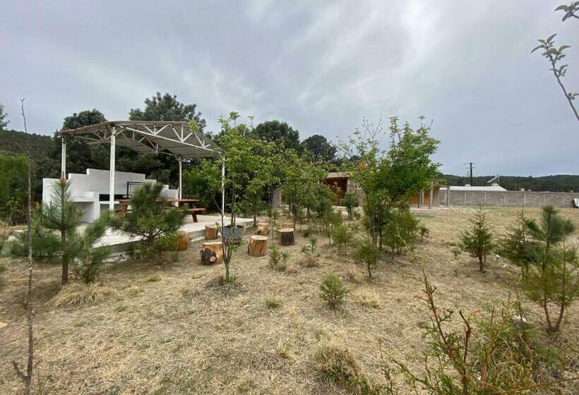 فندق Cabañas Rochivo Ranch