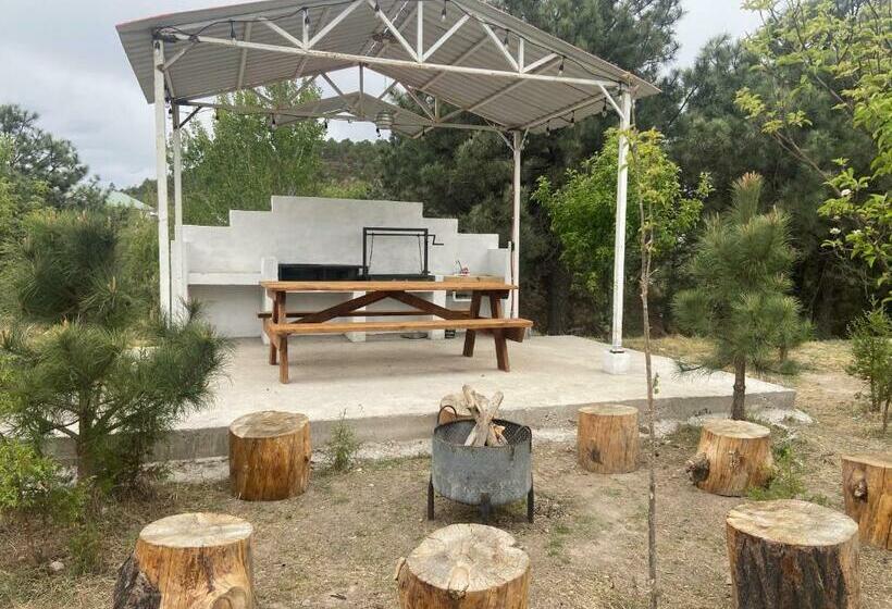 فندق Cabañas Rochivo Ranch