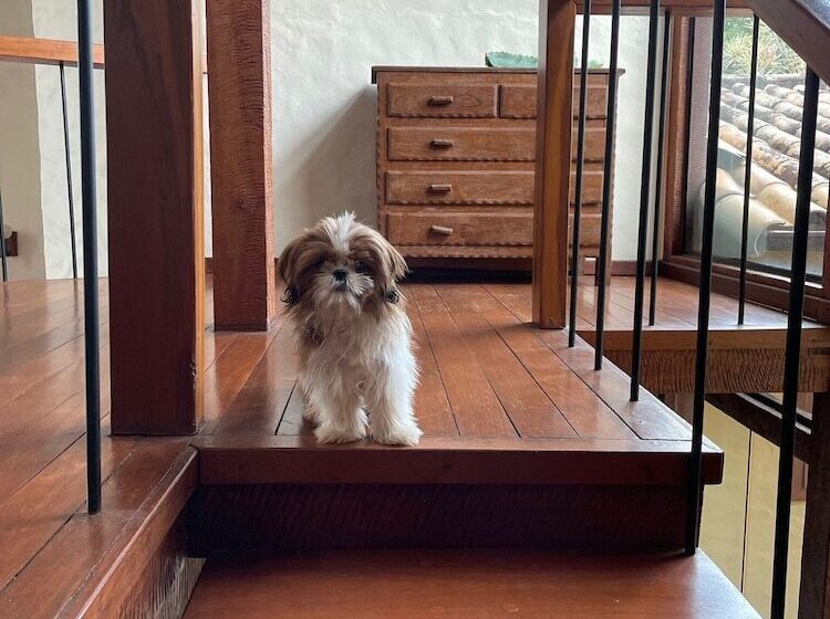 호텔 Le Jardim Pousada