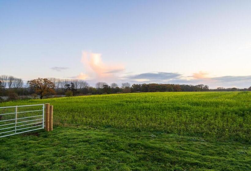 酒店 Hailes   A Newly Converted Barn On Our Farm Between Stratford Upon Avon And The Cotswolds