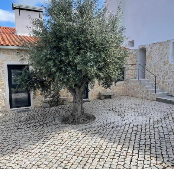 ペンション Casa Do Sol