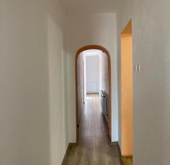 بنسيون , La Maison Concordia