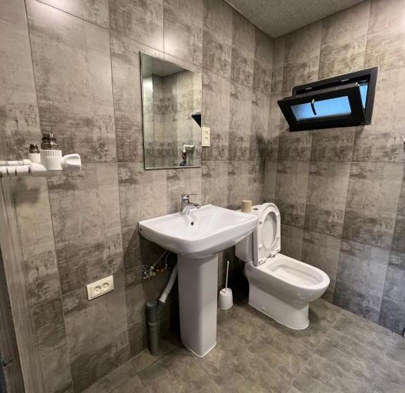 膳宿费 Maxim Gorki 36