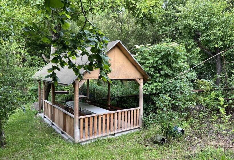 膳宿费 Maxim Gorki 36