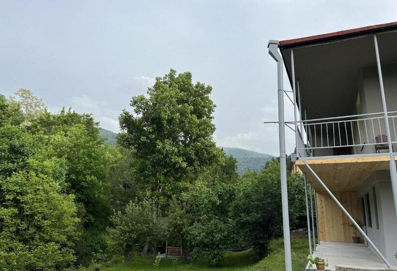 膳宿费 Maxim Gorki 36