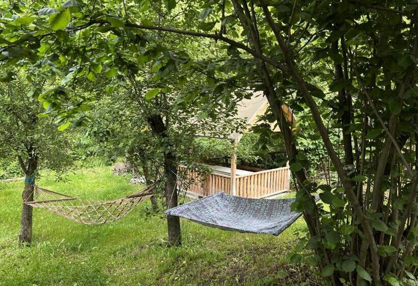 膳宿费 Maxim Gorki 36