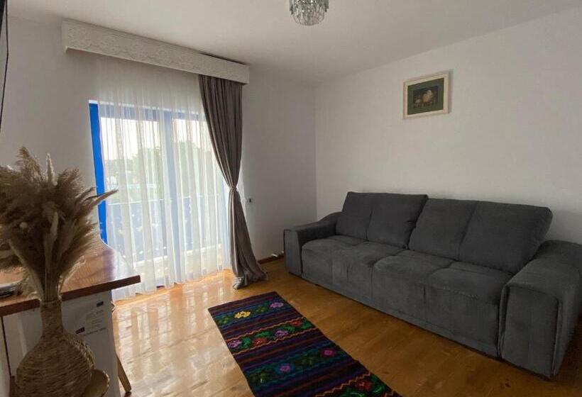 펜션 Paradisul Verde