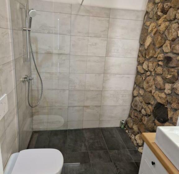 پانسیون Sobe Lotrist