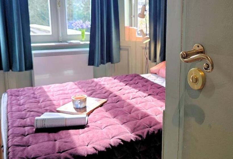 פנסיון The Kooch House 1.4