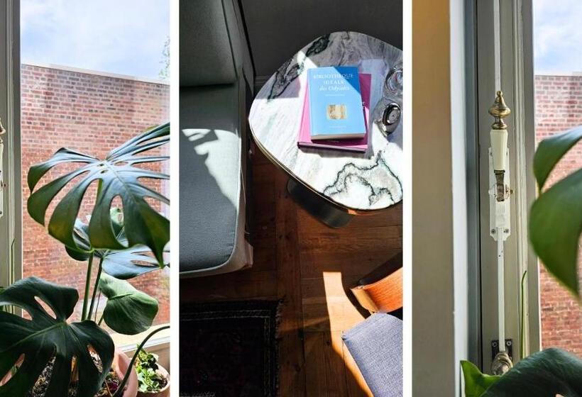 פנסיון The Kooch House 1.4