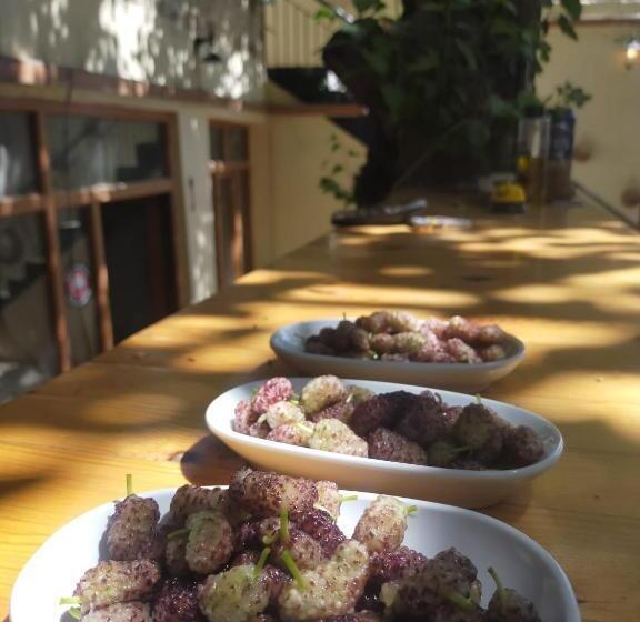 şahmaran Buti̇k Otel