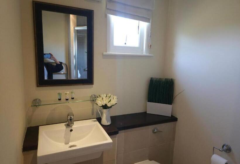 Общежитие The Swan At Compton