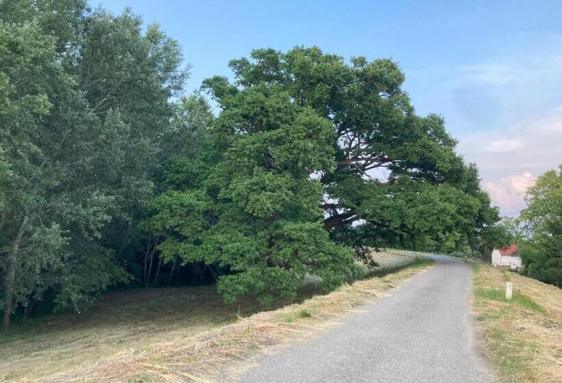 민박 Kancsal Harcsa Panzió és Halászcsárda